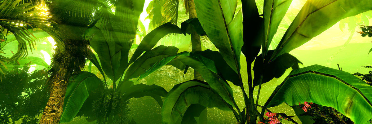 panoramic-3-piece-canvas-print-sunrise-in-the-rainforest-panorama