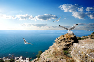 modern-3-piece-canvas-print-the-seagulls-and-the-sea