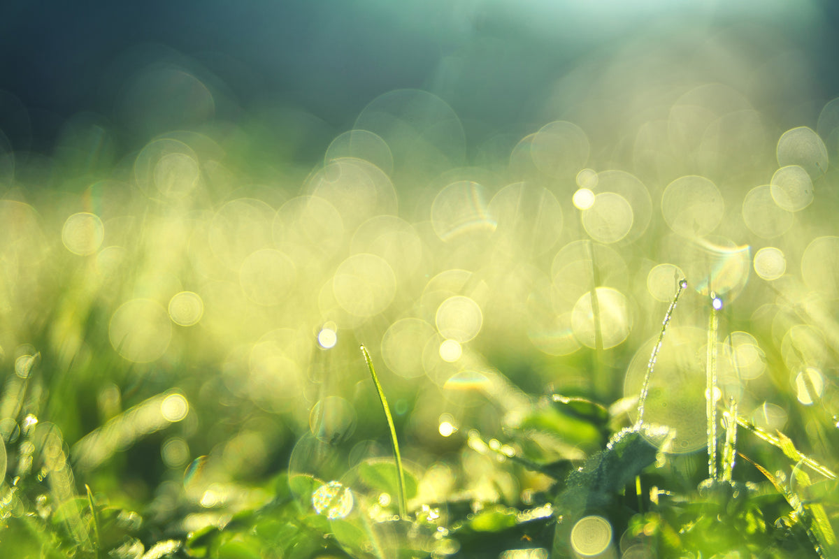 modern-3-piece-canvas-print-in-the-meadow