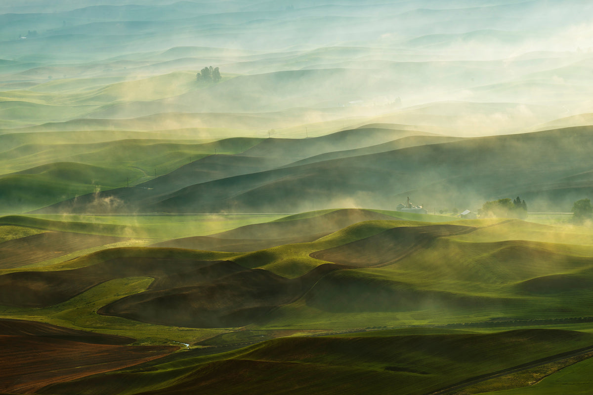 canvas-print-golden-morningpalouse-x