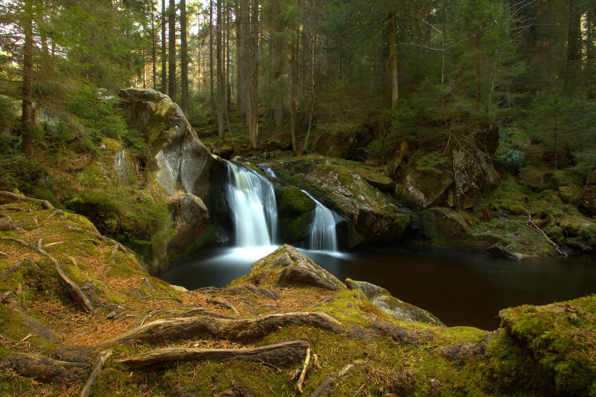 canvas-print-small-waterfall-in-the-forest