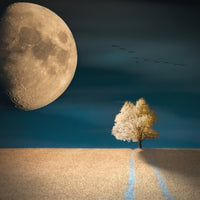 acrylic-print-gmo