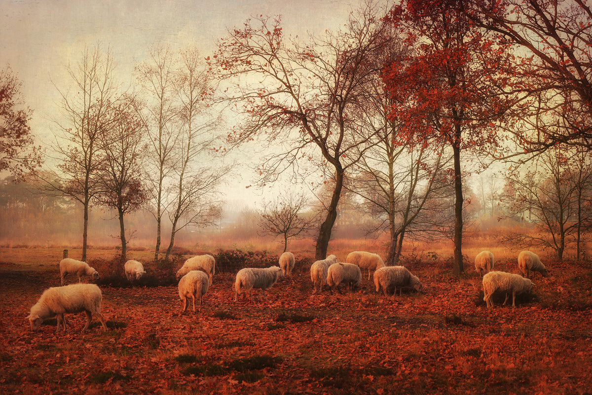 framedcanvas-print-last-days-of-autumn