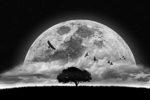 canvas-print-a-dream
