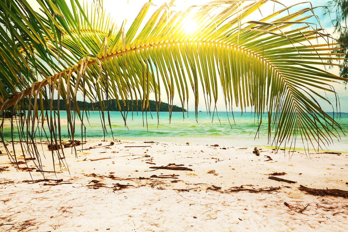 poster-print-swing-out-of-the-hammock