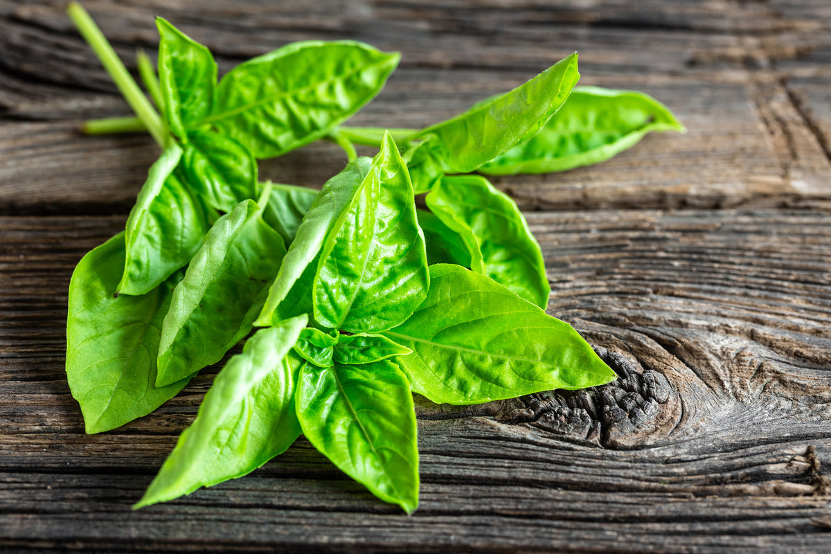 framedposter-print-basil-leaves-ii