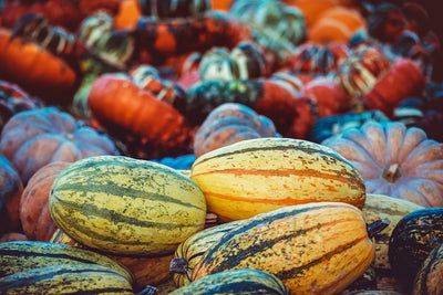 poster-print-pumpkin-types