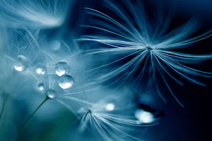 poster-print-soft-touch-x