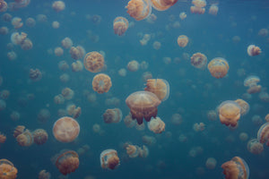 3-piece-aluminium-print-oddworld