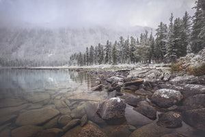 3-piece-acrylic-print-winter