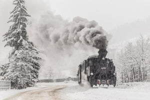 acrylic-print-winter-story-x