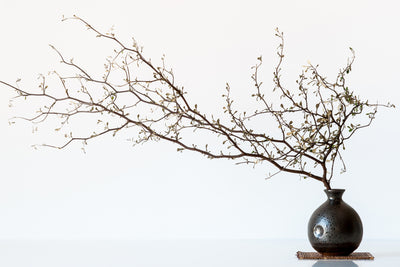poster-print-vase-and-branch-x