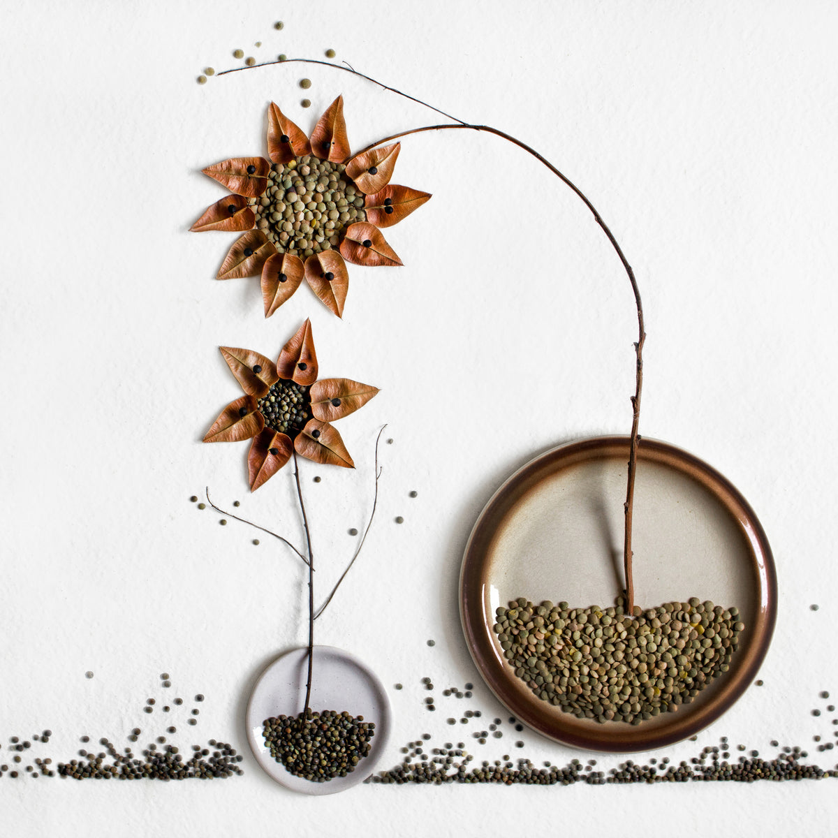4-piece-acrylic-print-herbarium