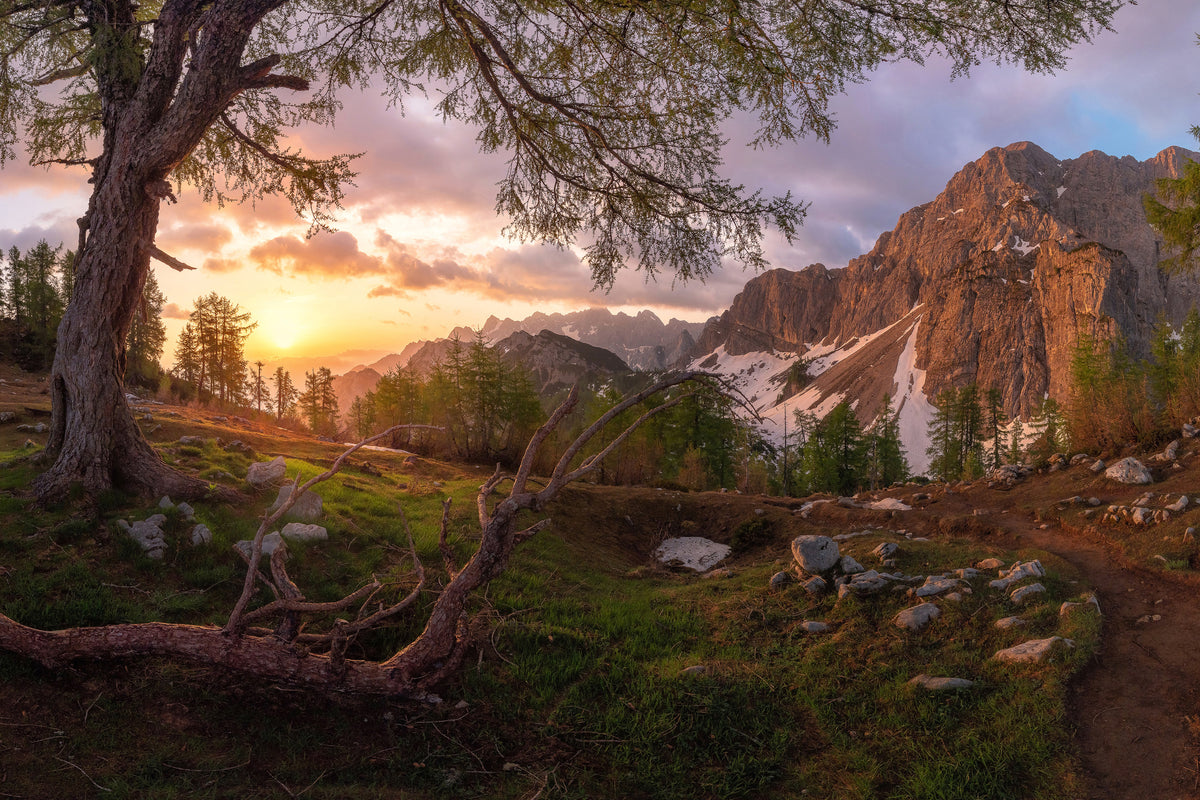 poster-print-magical-morning-xzs