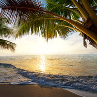 canvas-print-beach-view