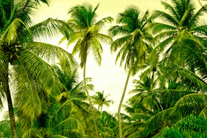 acrylic-print-mural-ready-for-a-vacation