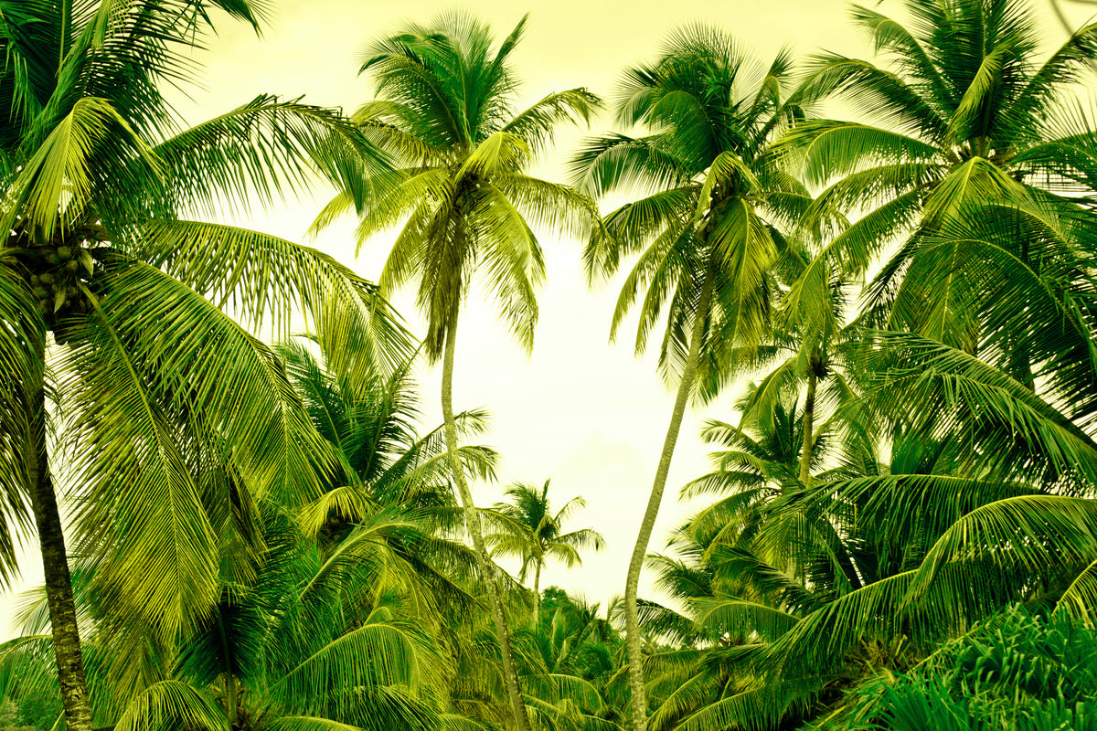 acrylic-print-mural-ready-for-a-vacation