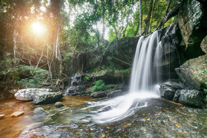 framedposter-print-natural-spectacle