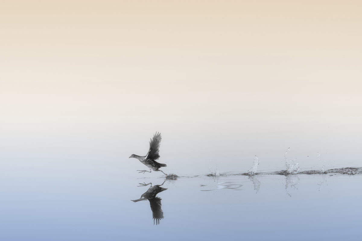 acrylic-print-untitled-xlv