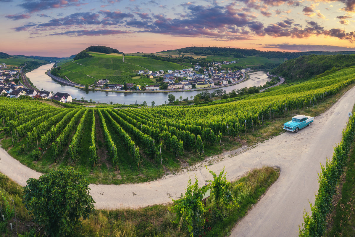aluminium-print-moselle-bend-with-vineyards