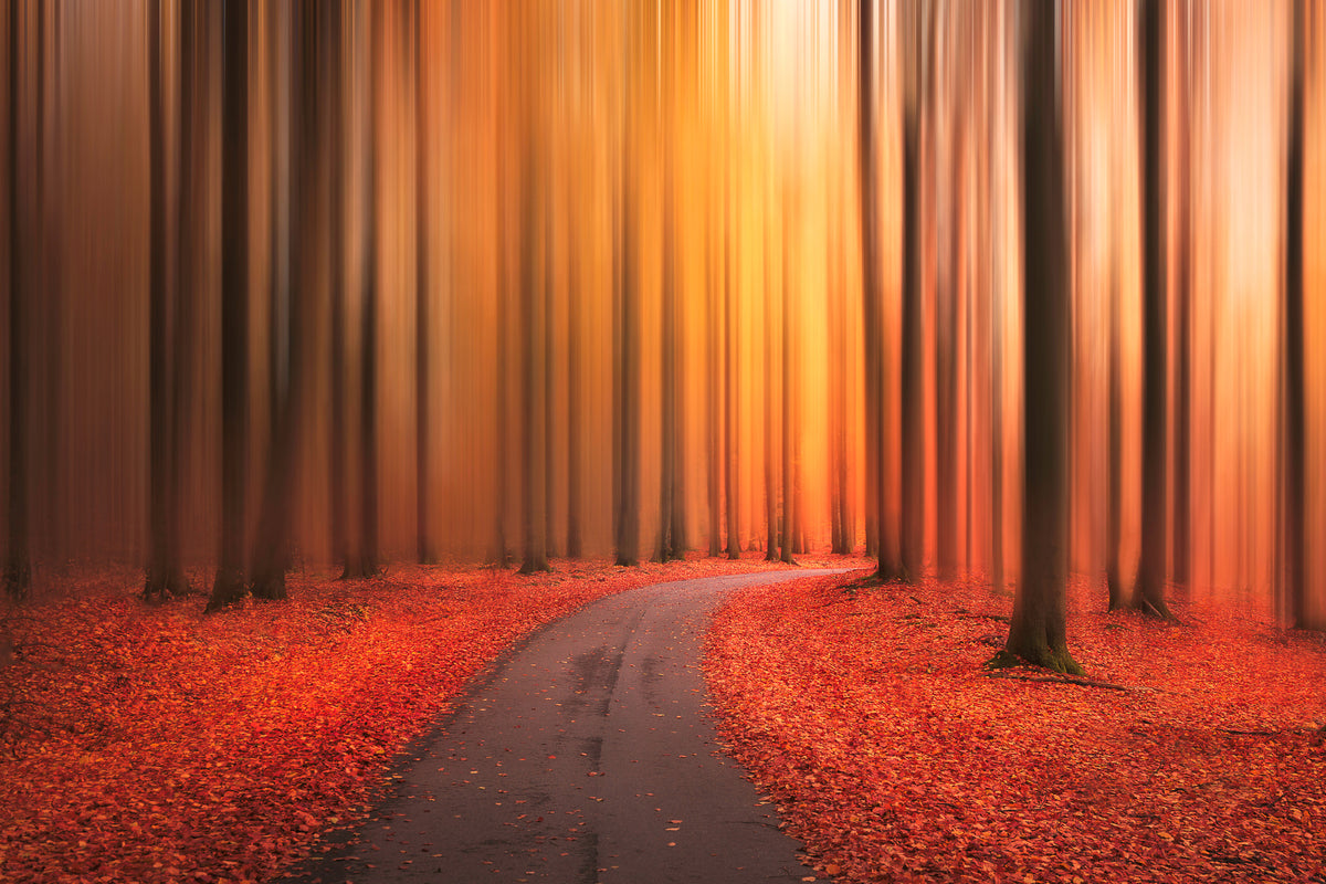 canvas-print-path-to-unknown