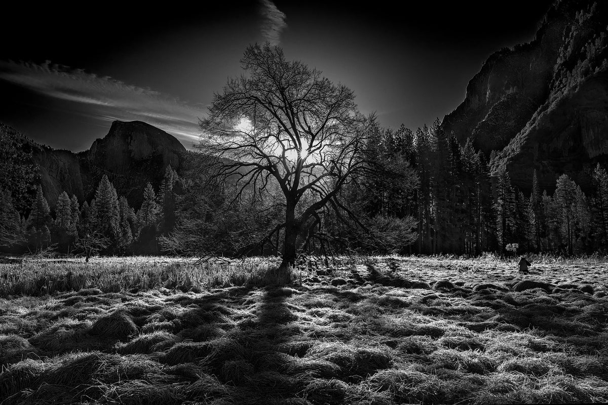3-piece-canvas-print-the-winter-spirit