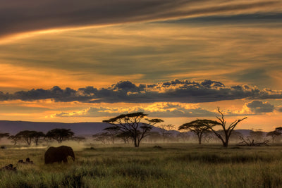 poster-print-africa-x