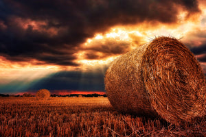 3-piece-canvas-print-mystic-landscape