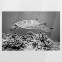 PO-060W040
