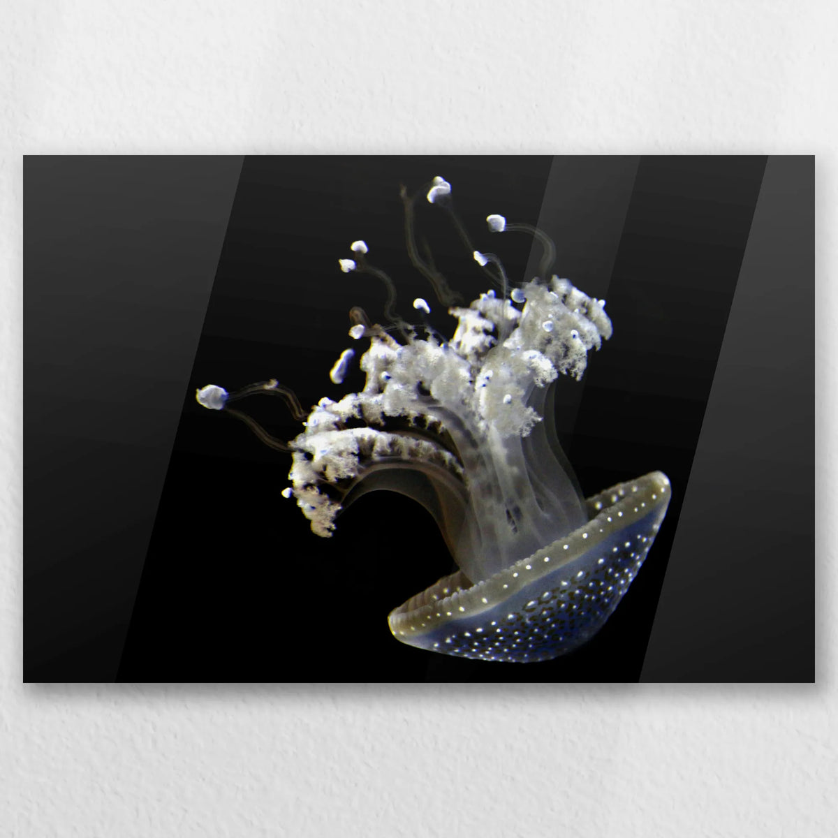AC-045W030