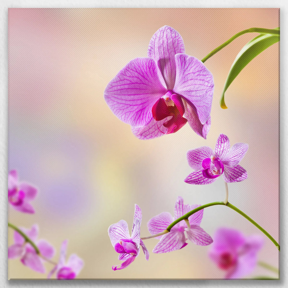 LW-090W090