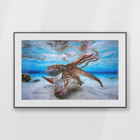 PBP120W080