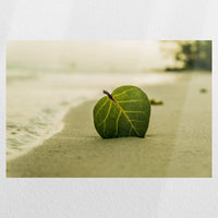 PO-060W040
