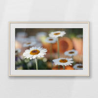 PNP100W070
