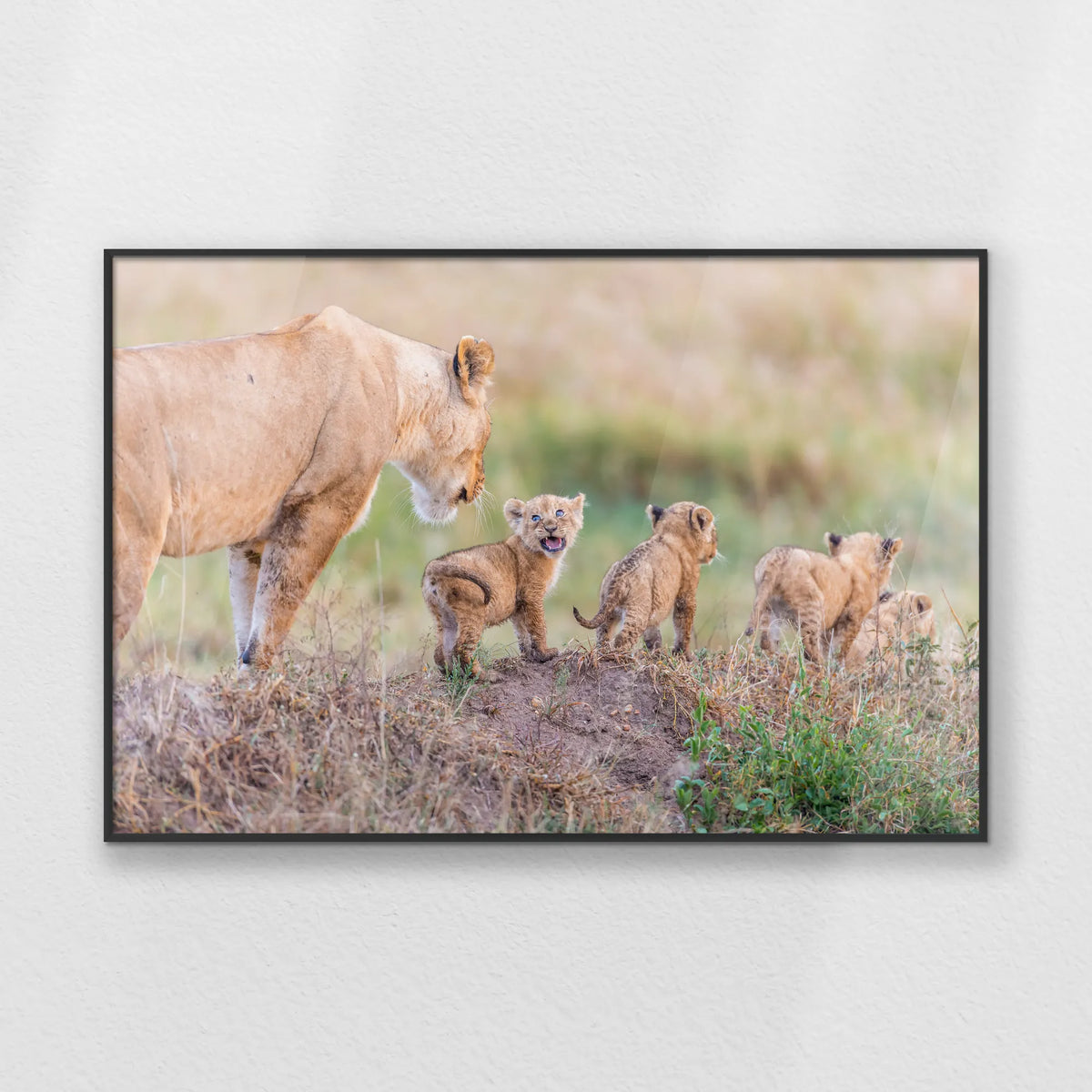PB-093W062
