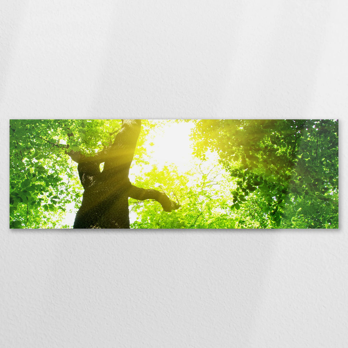AL-120P040