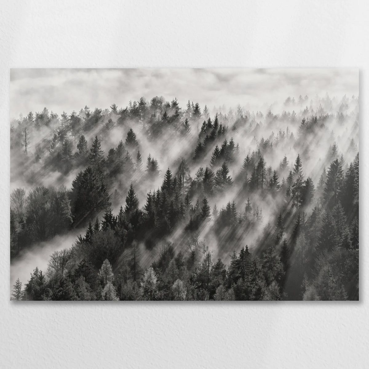 AL-075W050