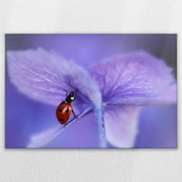 LW-120W080