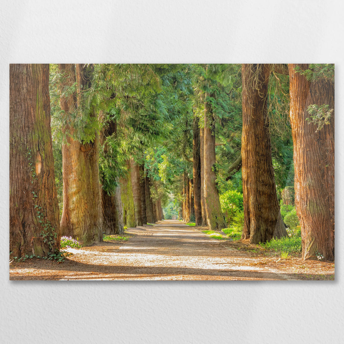AC-090W060