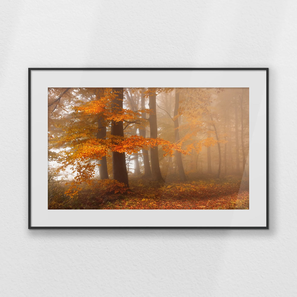 PBP093W062