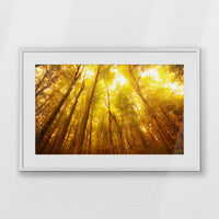 PWP093W062