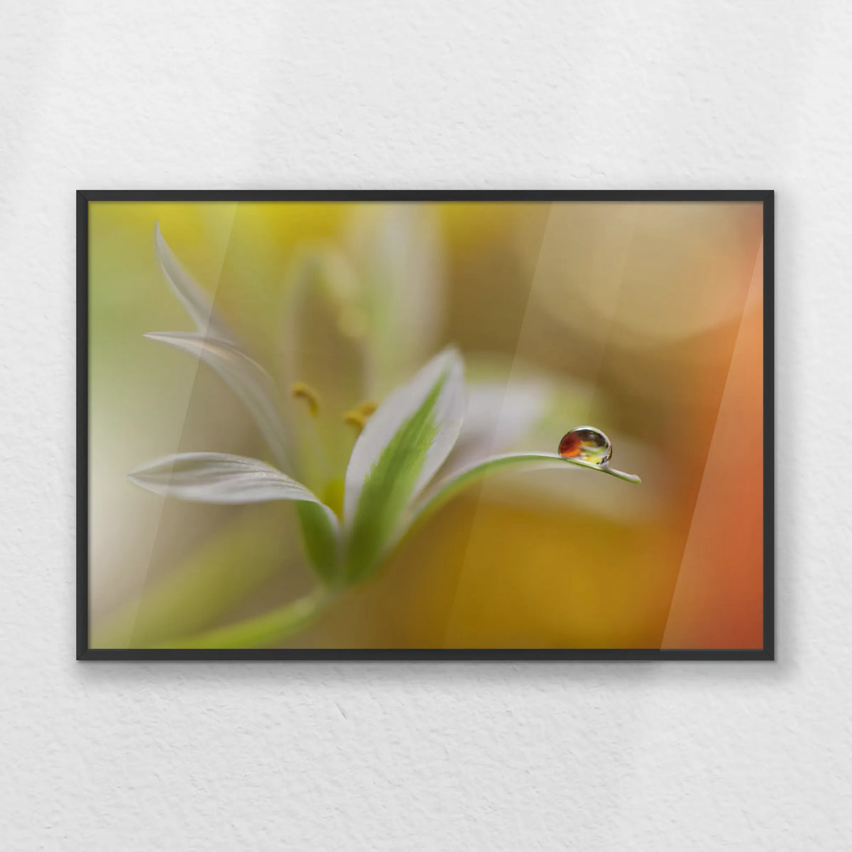 PB-060W040