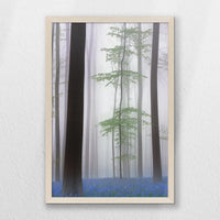 PN-040W060