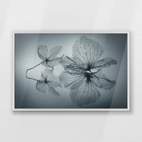 PW-093W062