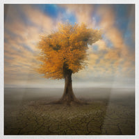 PO-030W030