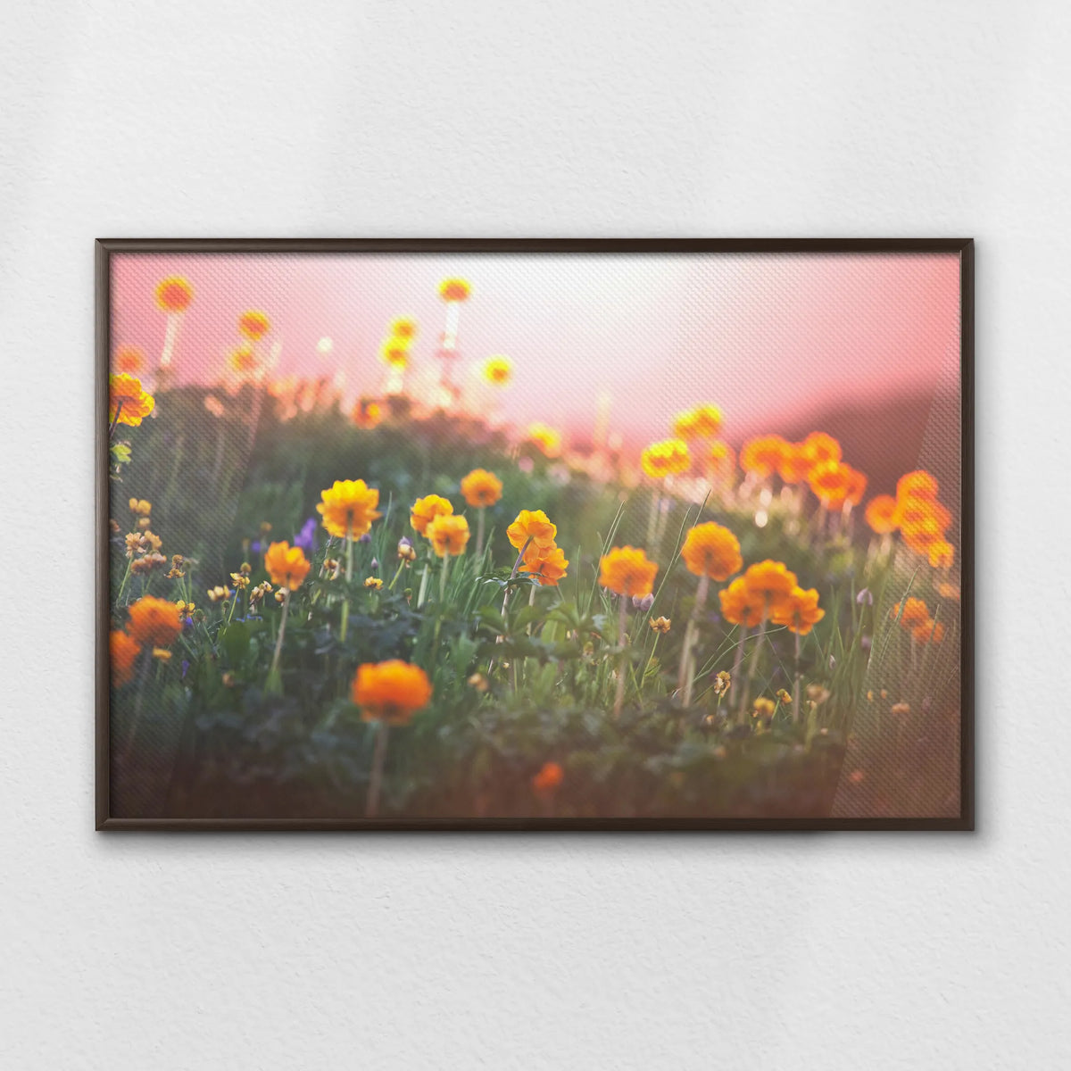LWN100W070