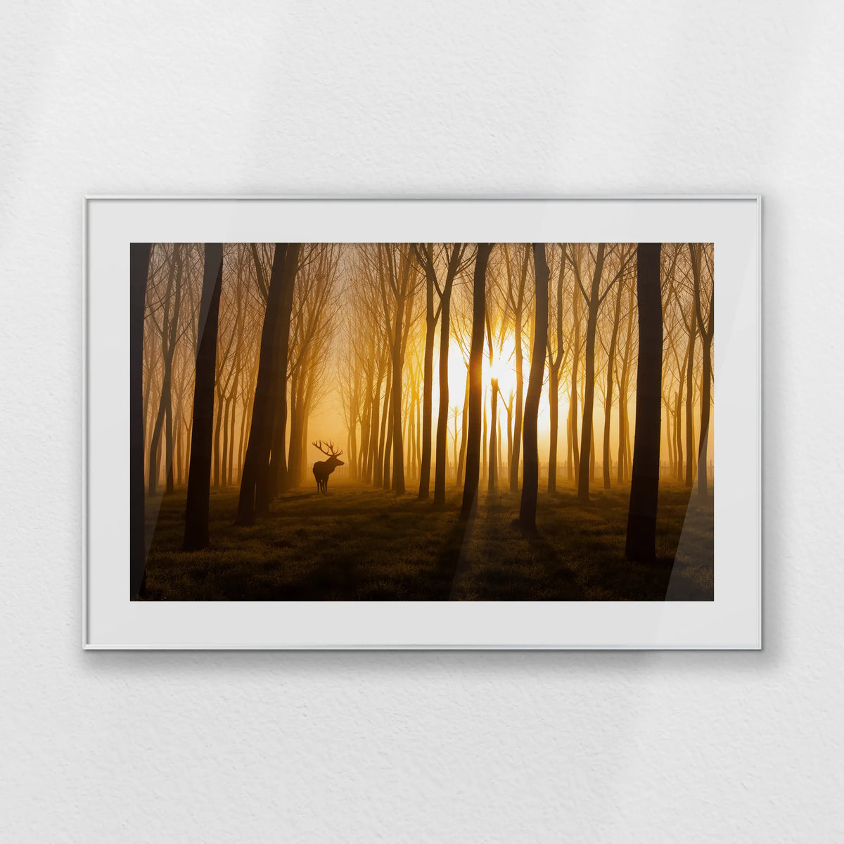 PSP120W080