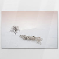 AC-075W050