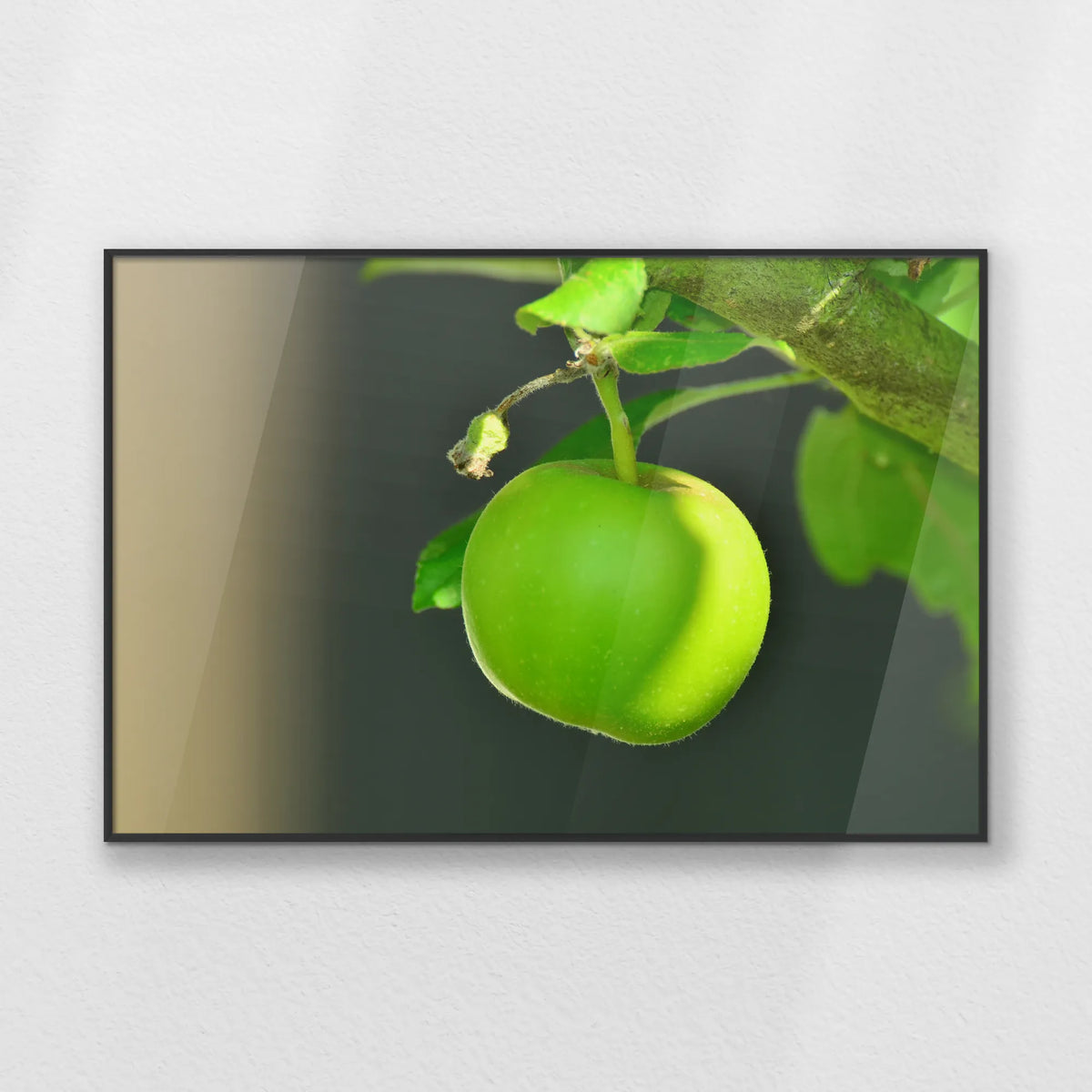 PB-093W062