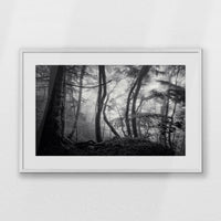 PWP093W062